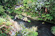 Te Puia River photo