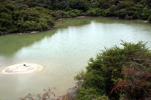 Hot Pool at Whakarewarewa photo