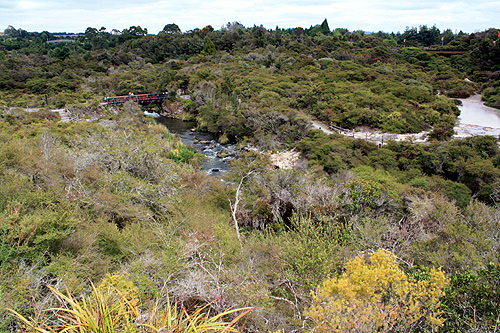 Whakarewarewa Thermal Valley photo