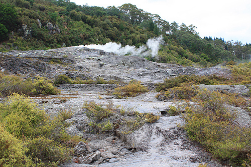Steam, Rock, and Vegetation photo