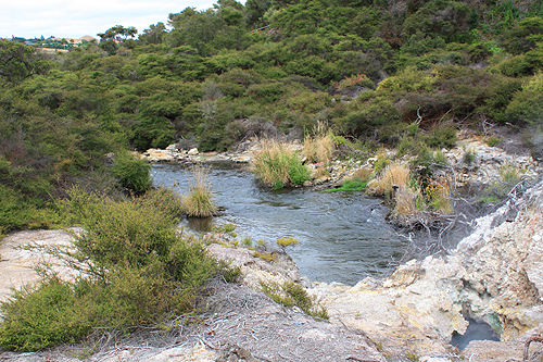 River in Te Puia Reserve photo