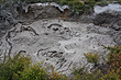 Volcanic Mud Pool photo