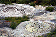 Mud Pools photo