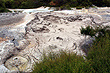 Volcanic Mud Te Puia photo