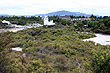 Te Puia Reserve View photo