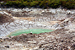 Te Puia Mud and Water photo