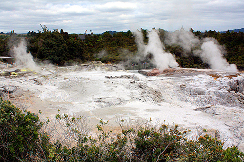 Te Puia Geysers photo