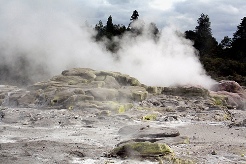 Pohutu Geyser photo