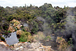 Te Puia Reserve View photo