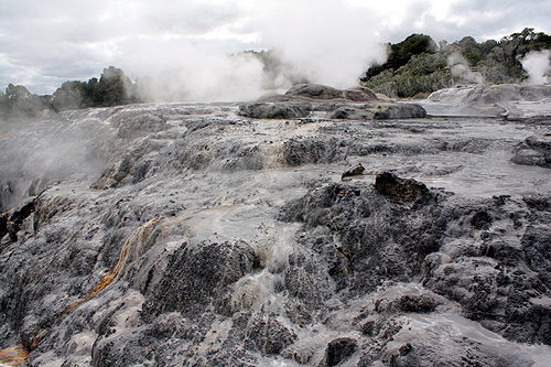 Geysers at Te Puia photo