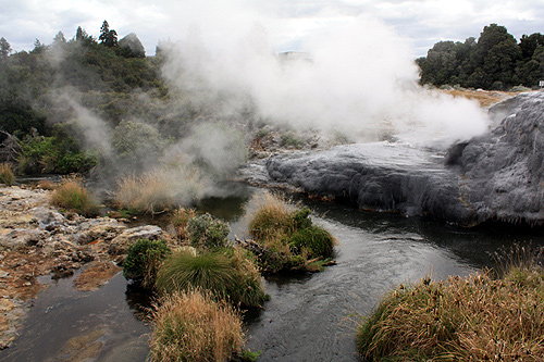 Hot Water & Steam photo