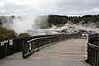 Te Puia Bridge photo