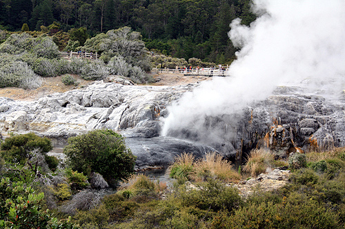 Shooting Geyser at Te Puia photo