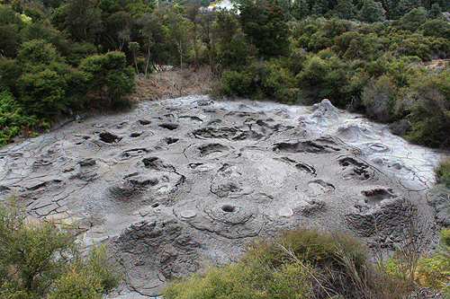 Boiling Mud Pool at Te Puia photo