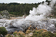 Te Puia Thermal Reserve photos