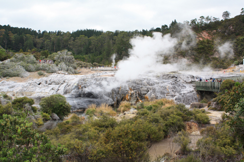 Te Puia Volcanic Reserve photos