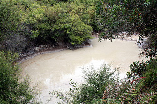 Luke Warm Water at Te Puia photo
