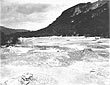 Pink and White Terraces photo