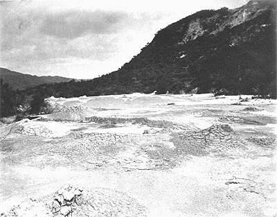 White Terraces photo