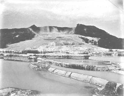 Pink and White Terraces photos