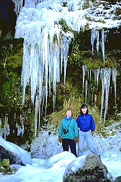 Tongariro Icicles photo