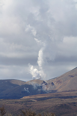 Te Maari Crater Steam Plume photo