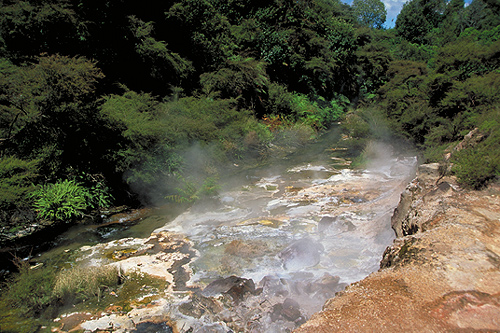 Waimangu Valley photo