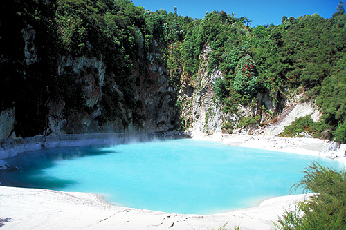 Waimangu Volcanic Reserve photos