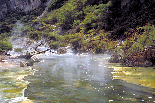 Waimangu Valley photo