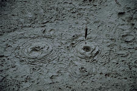 Mud Pool photo