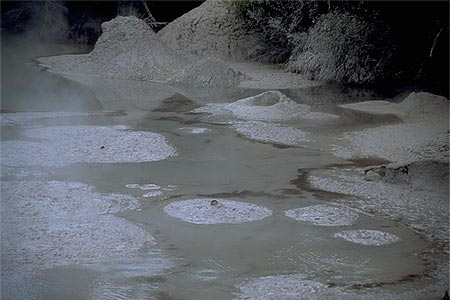 Mud Pool photo