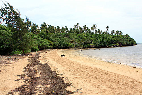 Atata Village Beach photo