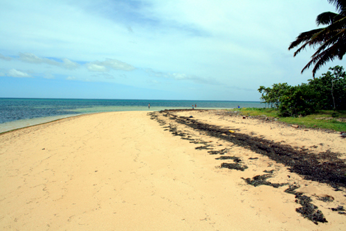 Atata Beach photo