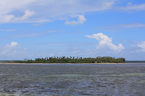 Coral Cay photo