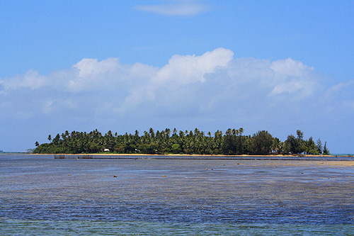 Coral Cay photo