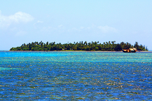 Coral Cay photo