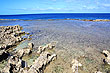 Coral Reef photo