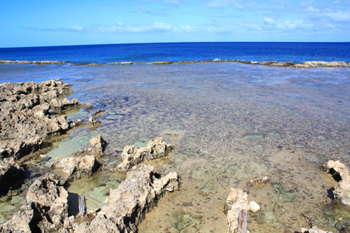 Coral Coastline photo