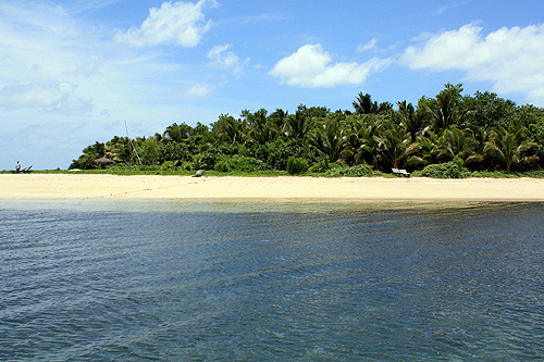 Fafa Island photo
