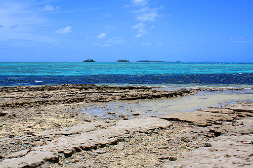 Coral Reef photo