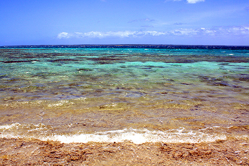 Coral Reef photo