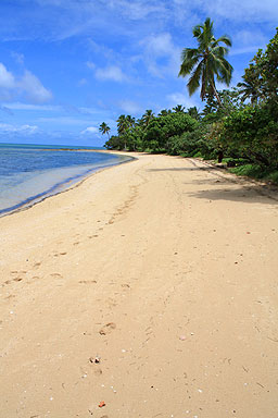 Pangaimotu Beach photo