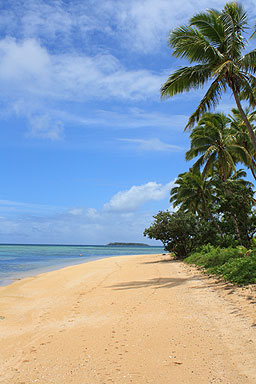 Pangaimotu Beach photo