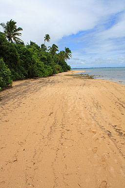 Isolated Beach photo