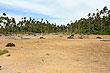 Low Tide photo