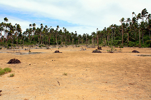 Low Tide photo