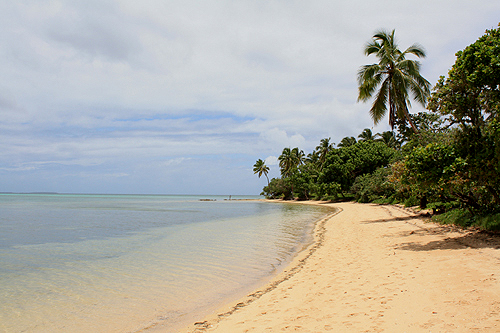 Pangaimotu Coast photo