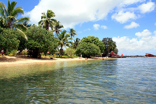Pangaimotu Resort photo