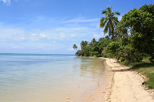 Pangaimotu Beach photo