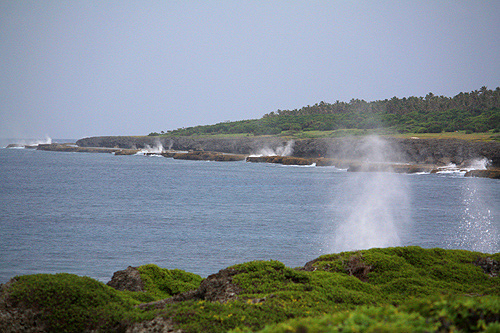 Mapu a Vaea Blowholes photo